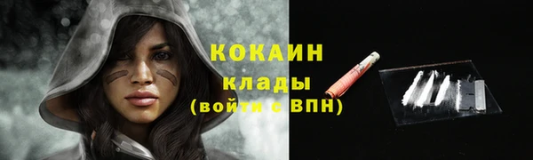 трава Лабытнанги